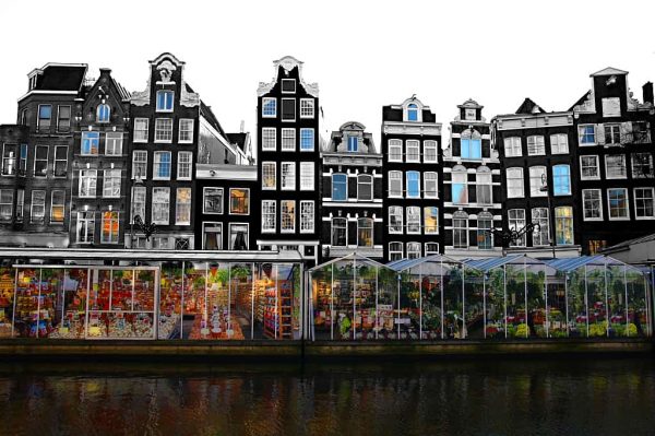 سوق الزهور العائم في أمستردام