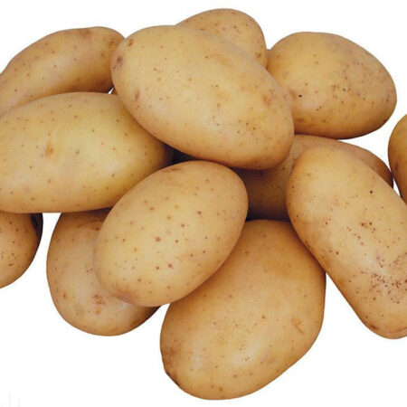 البطاطس الهولندية 