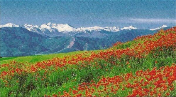 الربيع فى كازاخستان